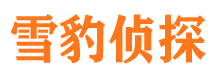 洛川市婚姻出轨调查